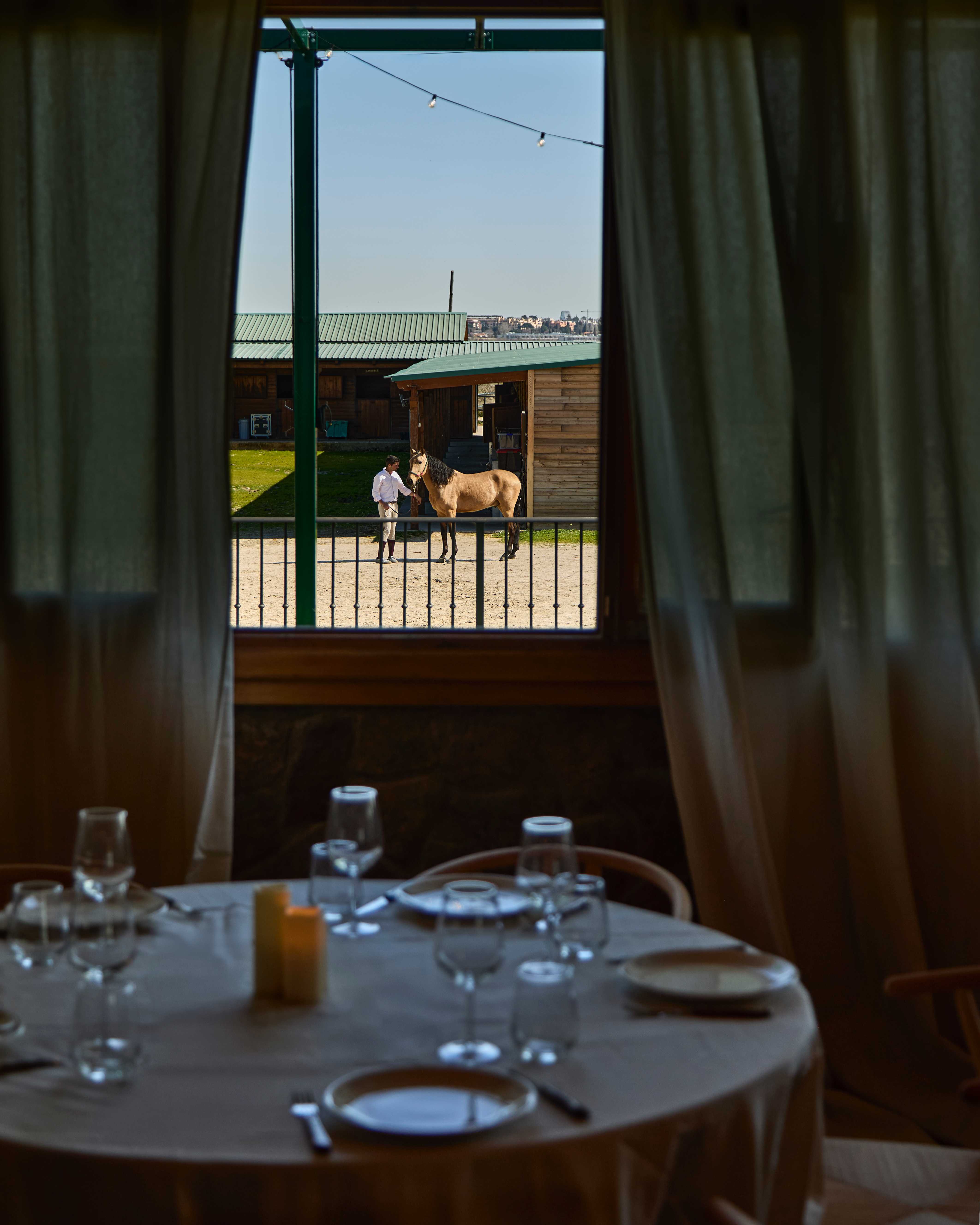 Terraza mirador con vistas a Madrid